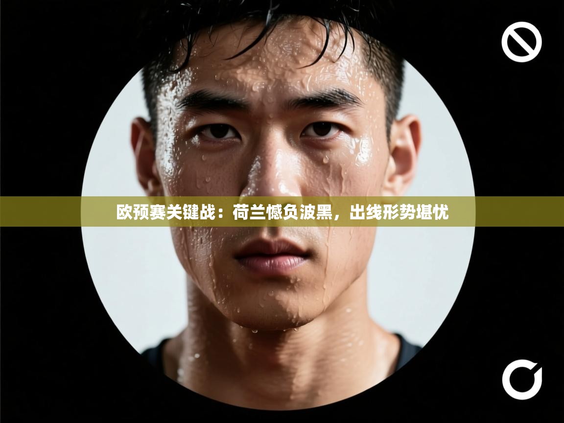 欧预赛关键战:荷兰憾负波黑,出线形势堪忧 第2张