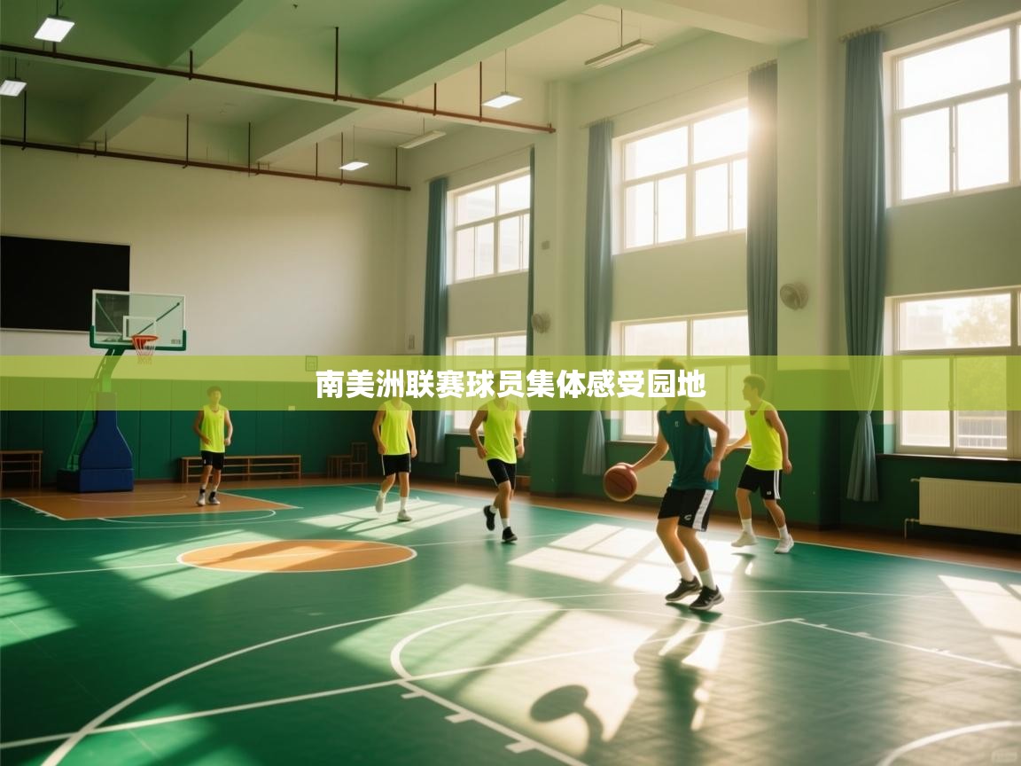 南美洲联赛球员集体感受园地  第1张